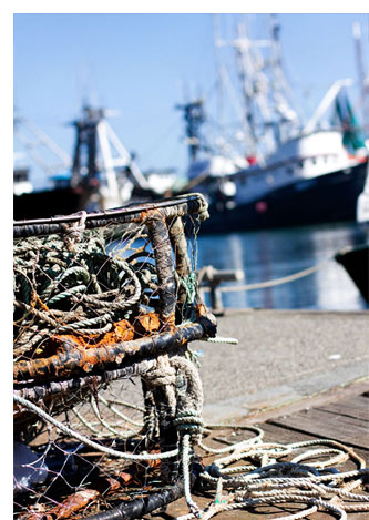 explore newport fishing and crabbing