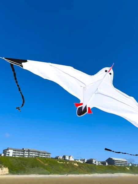 A white bird-shaped kite flies over a beach with houses in the background against a clear blue sky.