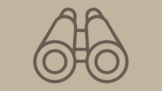 A pair of binoculars icon on a beige background.